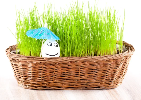 Ovo sorrindo engraçado do homem sob o guarda-chuva na cesta com grama. banho de sol . — Fotografia de Stock