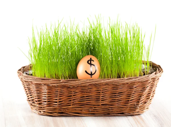 Golden dollar egg in basket with grass. — Stock Photo, Image