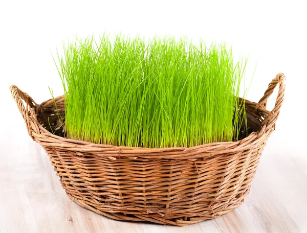 Пустая пасхальная корзина с зеленой травой — стоковое фото