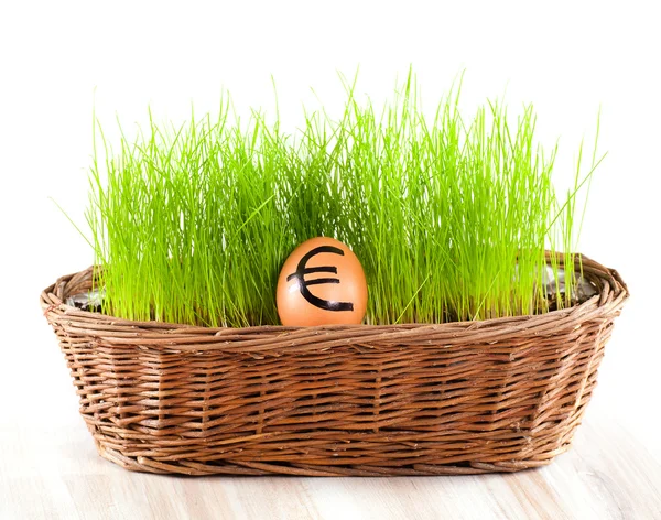 Golden euro egg in basket with grass. — Stock Photo, Image