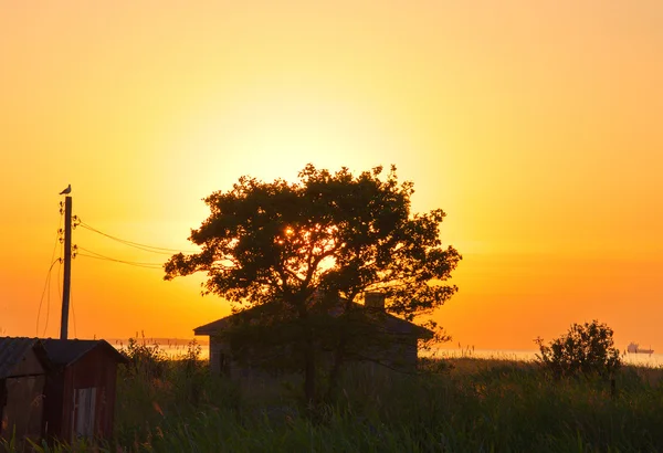 Bel sundownon un mare. con vecchia casa e albero — Foto Stock
