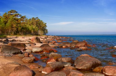 Baltic sea, stones, and sand beach. clipart