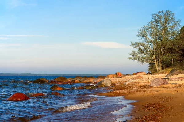 Baltic sea, stones, and sand beach. — Stock Photo, Image