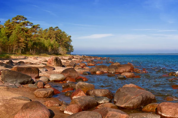 Baltic sea, stones, and sand beach. — Stock Photo, Image