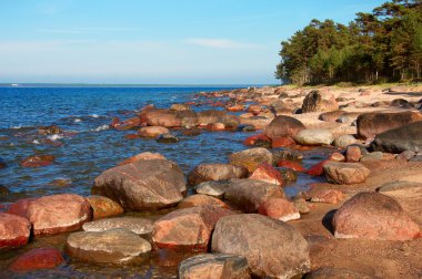 Baltık Denizi, taş ve kum plaj.