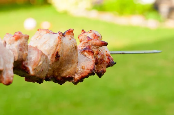 Bbq meat on skewer over grass background — Stock Photo, Image