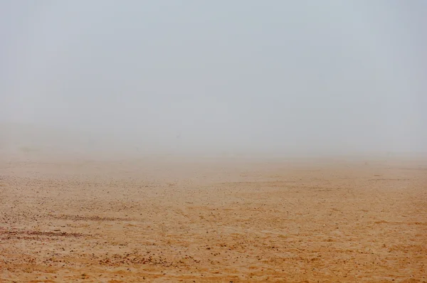Köd, egy homokos strand — Stock Fotó