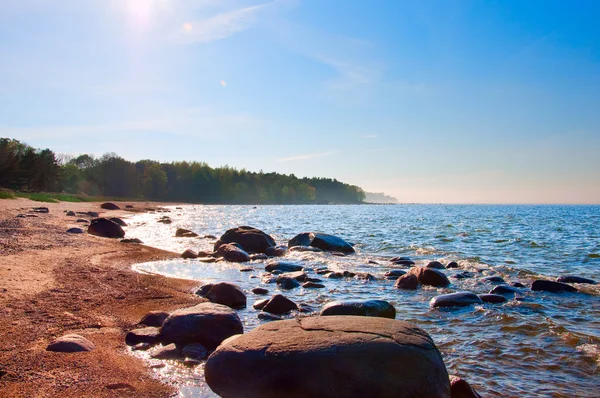 Baltic sea, stones, and sand beach. — Stock Photo, Image