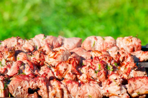 Carne di griglia su un carbone di legna — Foto Stock