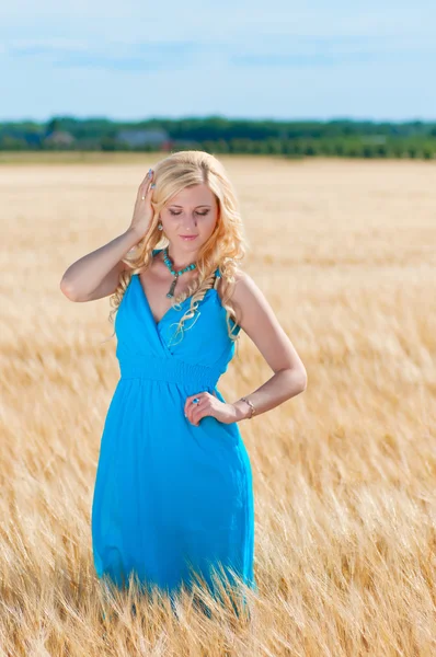 Happy womanin blue dress in golden wheat — Stock Photo, Image