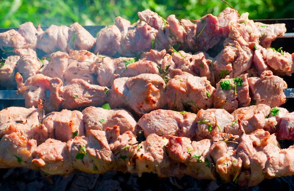 木炭烧烤肉 — 图库照片