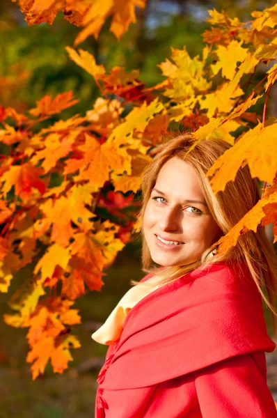 Autumn woman on leafs background — Stock Photo, Image