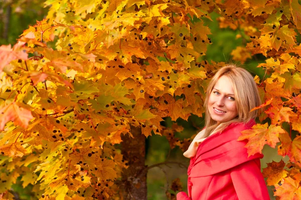 Autumn woman on leafs background — Stock Photo, Image