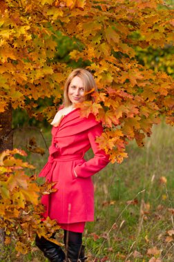 sonbahar kadını arka plan yapraklar