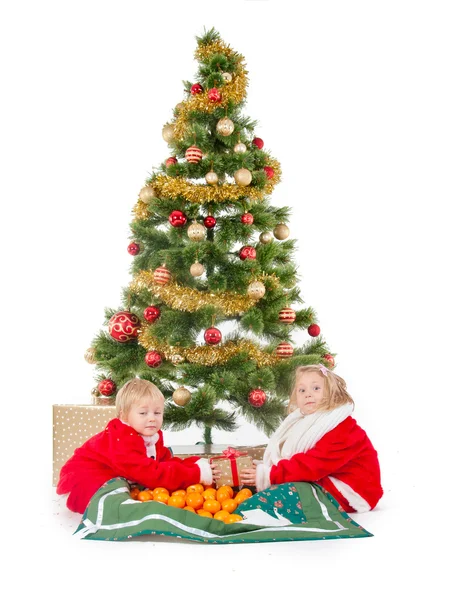 Двое маленьких детей играют под рождественской елкой — стоковое фото