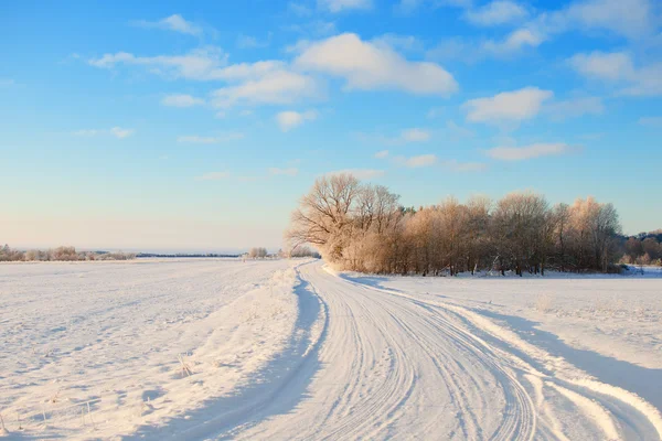 Empty snow covered road in winter landscape — Stock Photo, Image
