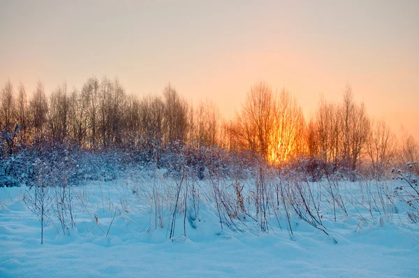 Alba in mezzo al freddo paesaggio invernale — Foto Stock