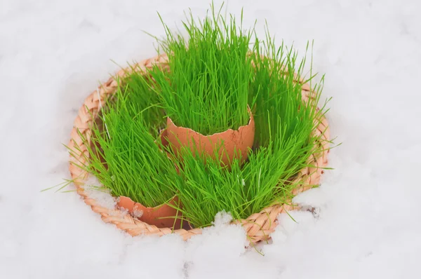 Huevo de Pascua con hierba verde sobre nieve —  Fotos de Stock