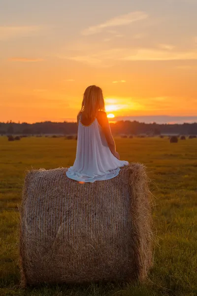 Romantic woman in field with hay Royalty Free Stock Images