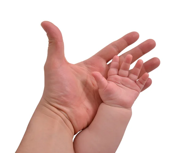 Vader en baby handen — Stockfoto