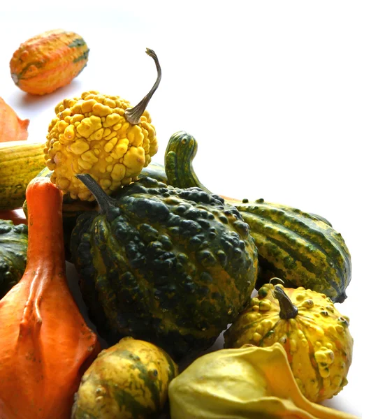 Gourds — Stock fotografie