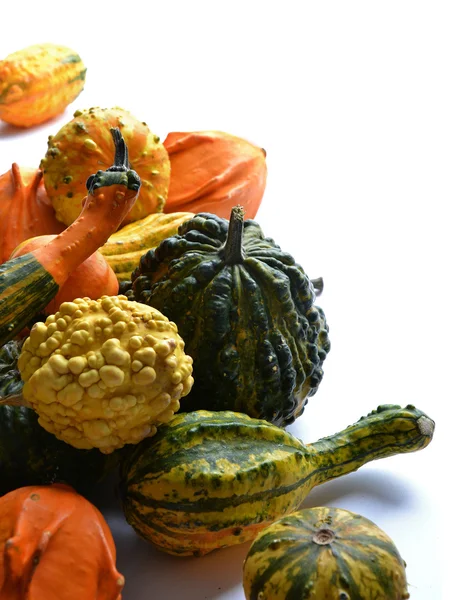 Gourds — Stock fotografie