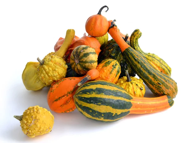 Gourds — Stock fotografie