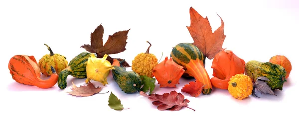 Calabazas — Foto de Stock