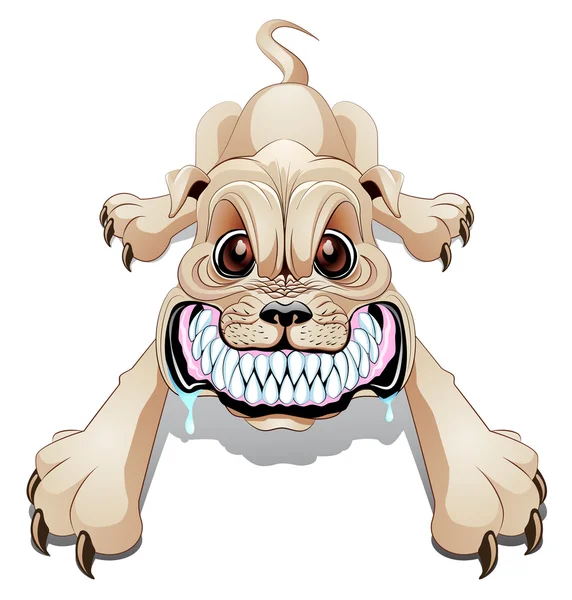 kızgın köpek