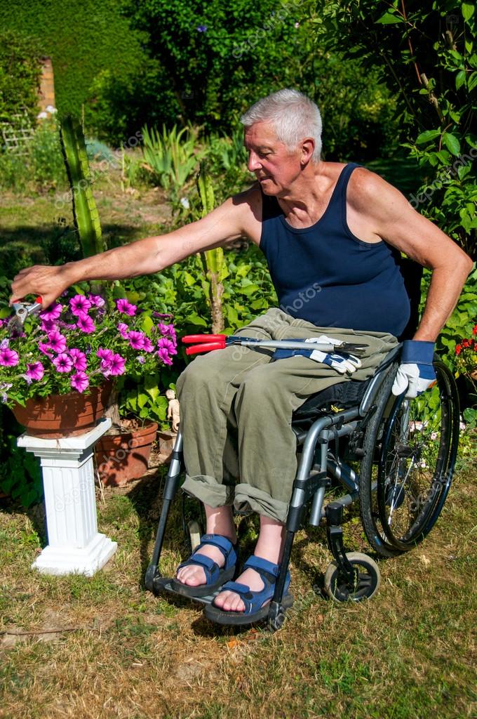 Gardening in Wheelchair — Stock Photo © Walpurgis 38858595