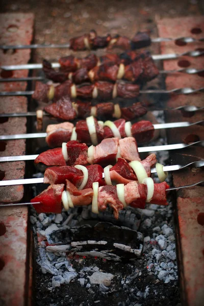Shish Kebab 2. — Photo
