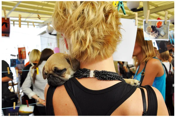 bir fotoğraf sergisi