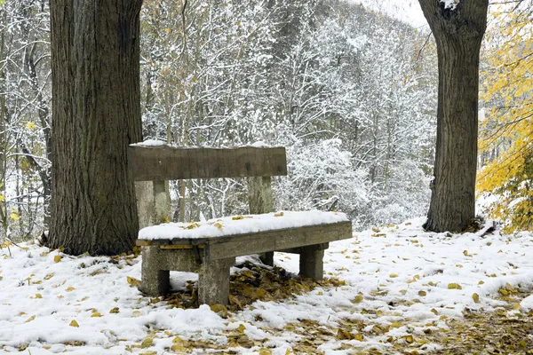 Bänk under snön i vinter park — Stockfoto