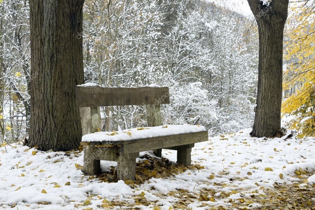 Bench under snow in winter park