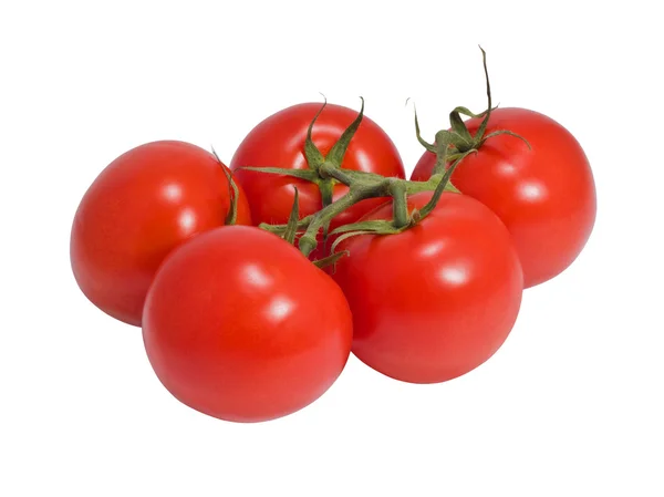 domates küme
