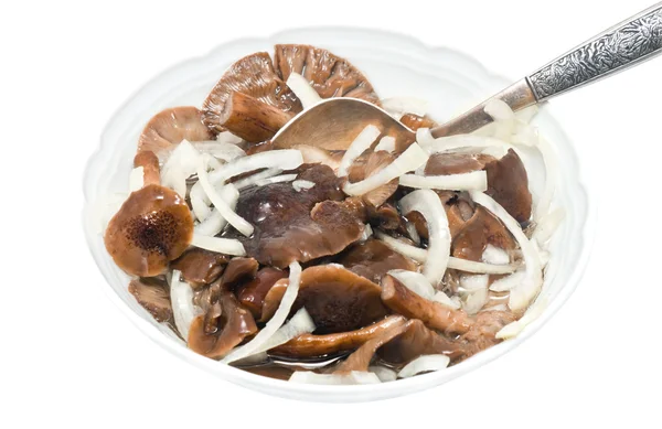 Piatto d'insalata con funghi marinati — Foto Stock