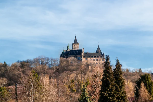 Castello sulla collina — Foto Stock