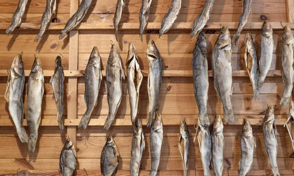 Poissons séchés Images De Stock Libres De Droits