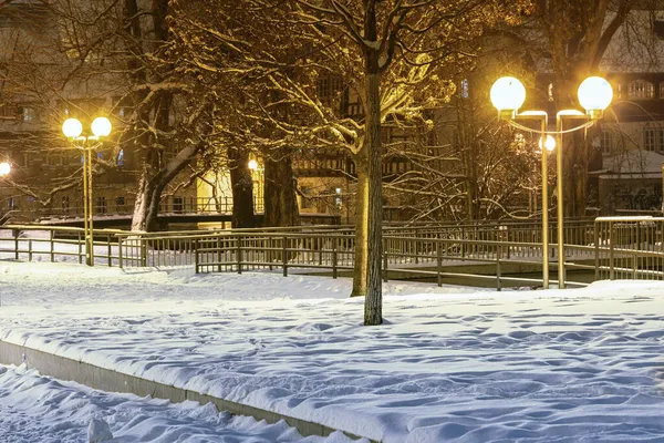 Gece Fenerlerin Işığında Kış Parkı — Stok fotoğraf