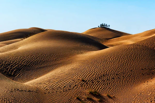 Rub Khali Alias Empty Quarter Desert Oman Photo Haute Qualité — Photo