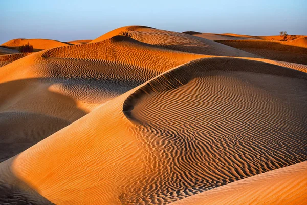 Rub Khali Aka Empty Quarter Desert Oman Фотографія Високої Якості — стокове фото