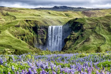 Skogafoss şelalesi. Okyanustaki güzel volkanik ada. İzlanda. Yüksek kalite fotoğraf
