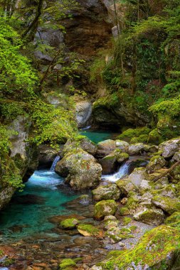 Çok güzel mavi bir Soca nehri, Kobarid, Slovenya. Yüksek kalite fotoğraf