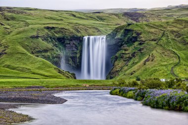Skogafoss şelalesi. Okyanustaki güzel volkanik ada. İzlanda. Yüksek kalite fotoğraf