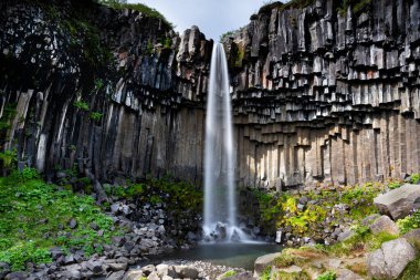 Svartifoss şelalesi. Okyanustaki güzel volkanik ada. İzlanda. Yüksek kalite fotoğraf