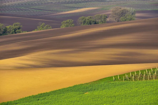 Όμορφο Κυλιόμενο Τοπίο Στη Νότια Μοραβία Ονομάζεται Moravian Τοσκάνη Τσεχία — Φωτογραφία Αρχείου