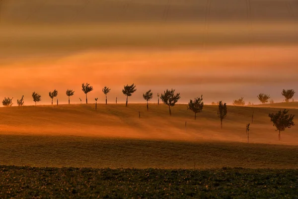 Gyönyörű Gördülő Táj Dél Morvaországban Morva Toszkánának Hívják Cseh Köztársaság — Stock Fotó