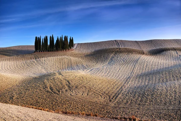 Pitoresque Περιοχή Τοσκάνη Κυπαρίσσια Άλσος Φθινόπωρο Ιταλία Υψηλής Ποιότητας Φωτογραφία — Φωτογραφία Αρχείου