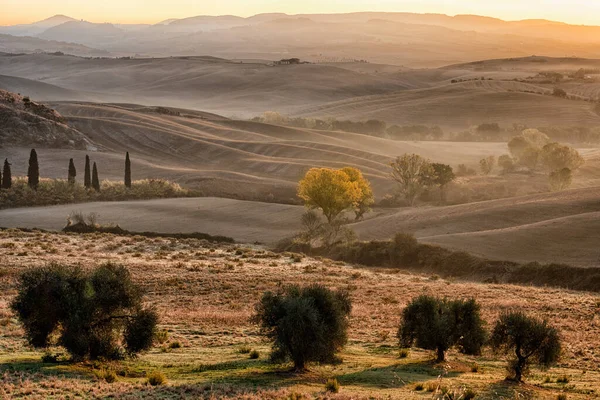 Region Pitorescki Toskania Wschód Słońca Val Orcia Włochy Wysokiej Jakości — Zdjęcie stockowe