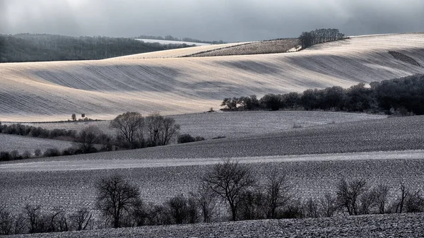 Piękny Krajobraz Morawach Południowych Nazwie Morawski Toskania Czechy Wysokiej Jakości — Zdjęcie stockowe